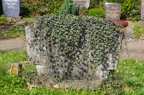 Ippendorf