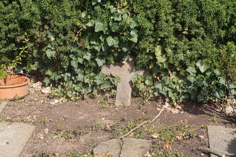 Ippendorf