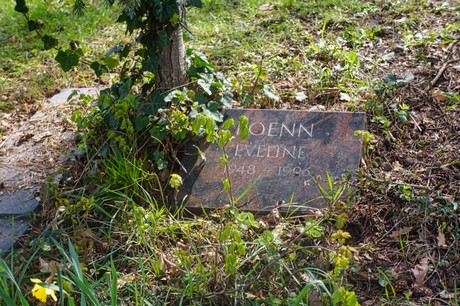 Ippendorf