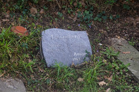 Ippendorf