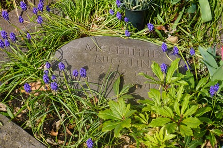 Ippendorf