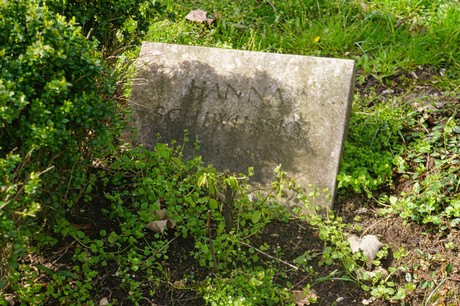 Ippendorf