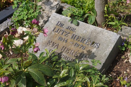 Ippendorf