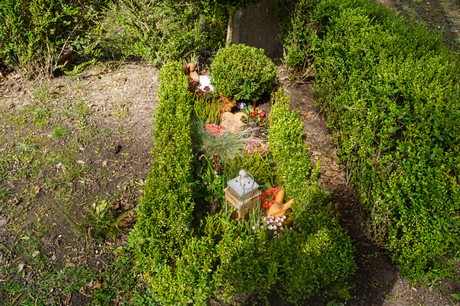 Ippendorf