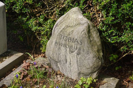 Ippendorf
