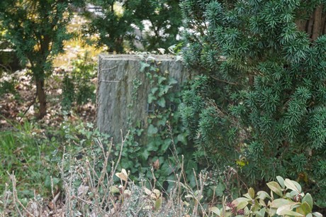 Ippendorf