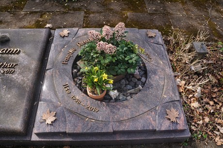 Ippendorf