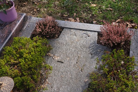 Ippendorf