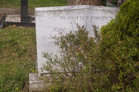 Ippendorf