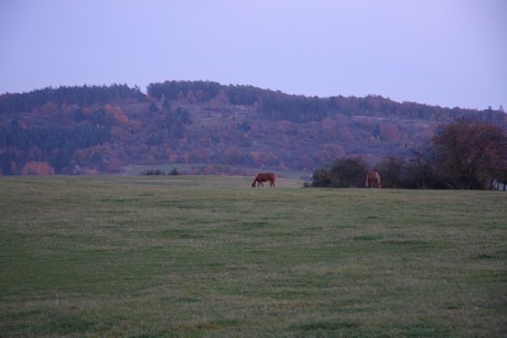 oberstein