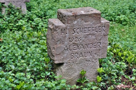 Kamp-Lintfort