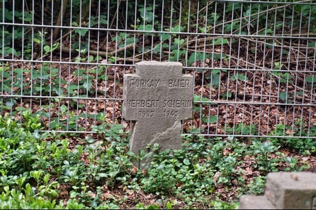 Kamp-Lintfort