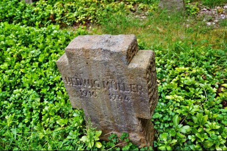 Kamp-Lintfort