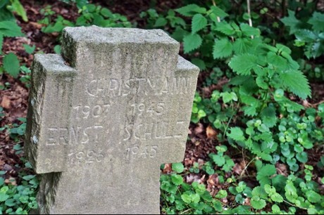 Kamp-Lintfort