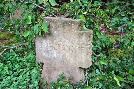 Kamp-Lintfort