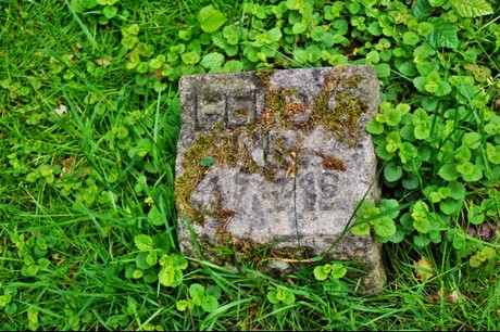 Kamp-Lintfort