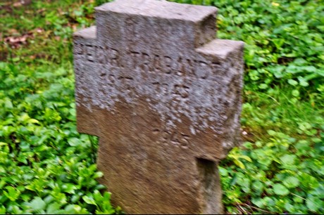Kamp-Lintfort