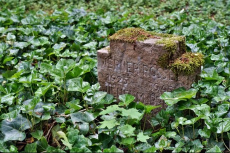 Kamp-Lintfort