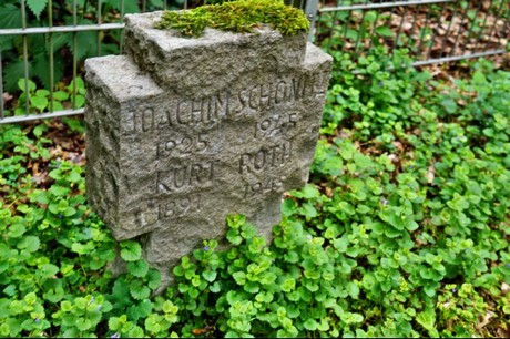 Kamp-Lintfort