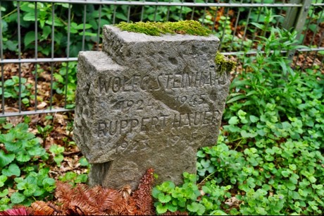 Kamp-Lintfort