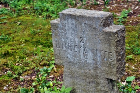 Kamp-Lintfort
