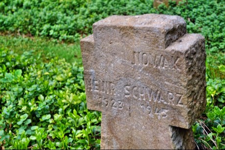 Kamp-Lintfort