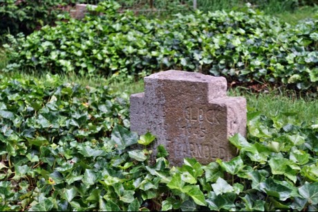 Kamp-Lintfort