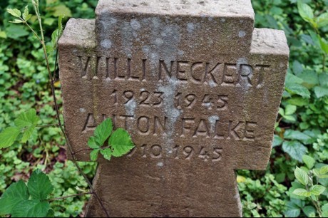 Kamp-Lintfort