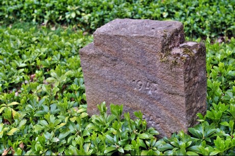 Kamp-Lintfort