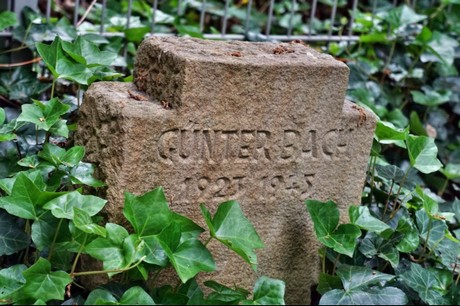 Kamp-Lintfort