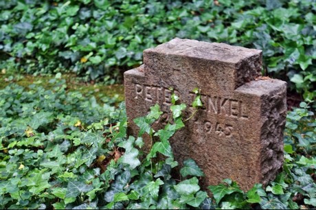 Kamp-Lintfort