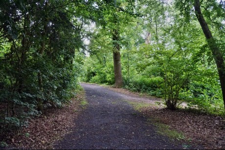Kamp-Lintfort