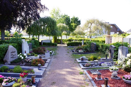 Kardorf