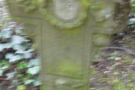 Kessenich
