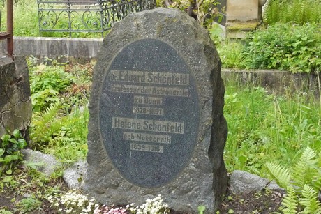 Kessenich