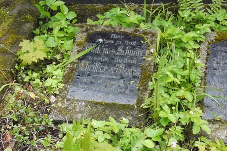 Kessenich