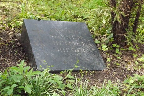 Kessenich