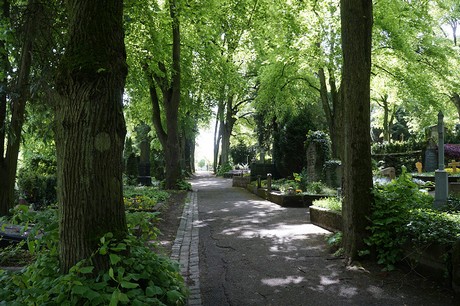 Kessenich