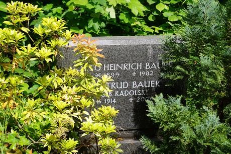Kessenich