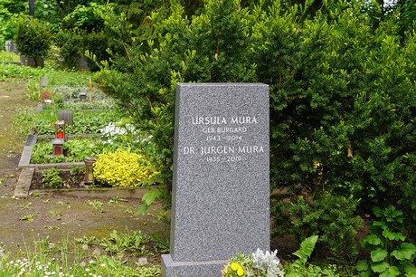 Kessenich