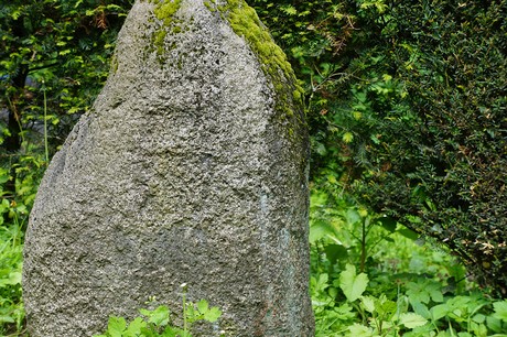 Kessenich