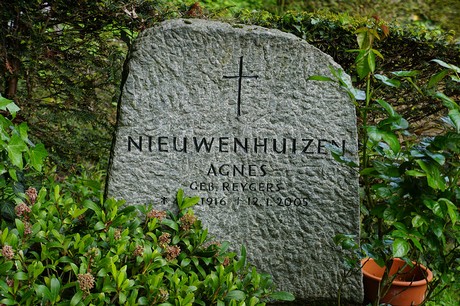 Kessenich