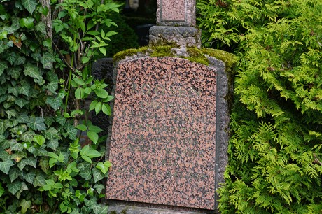 Kessenich