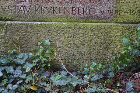 Kessenich