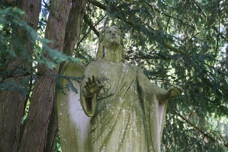 Kessenich