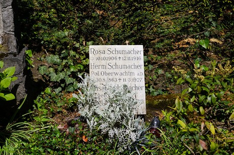 Kessenich