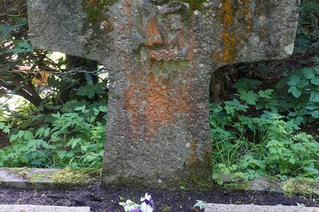 Kessenich