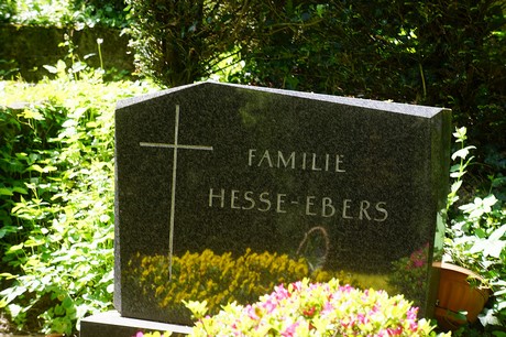 Kessenich