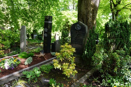 Kessenich
