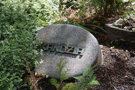 Kessenich